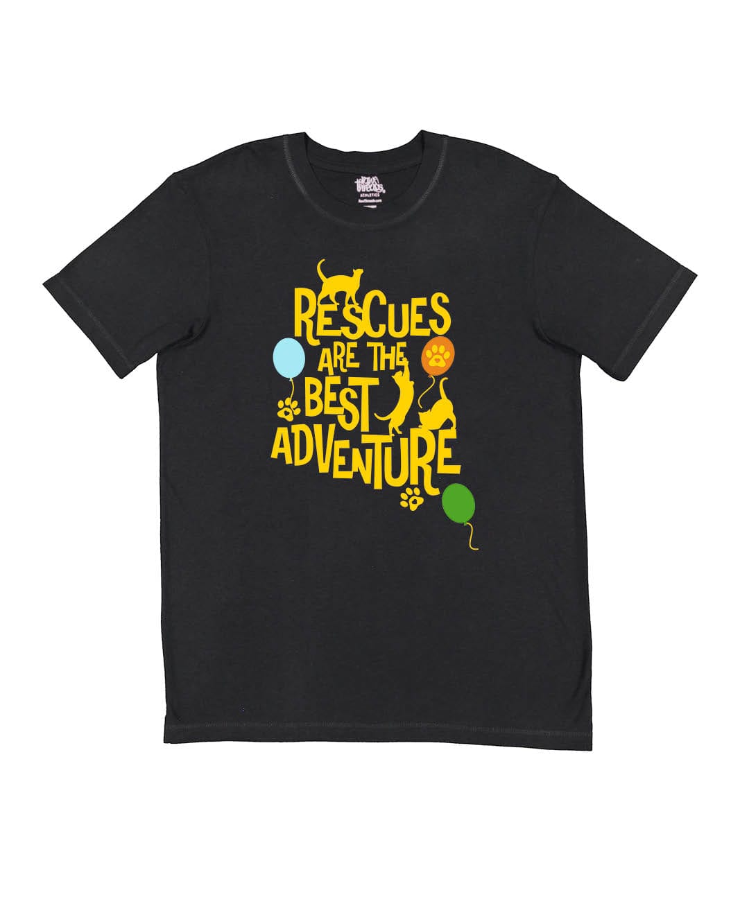 Rescues are the best adventure (cats)